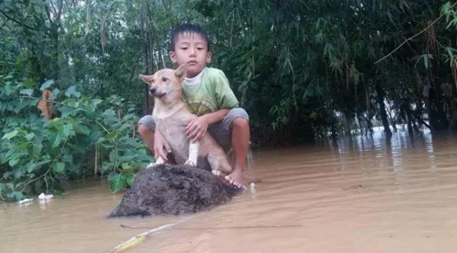 不要怕有我在!洪水暴漲逃不了「小男孩緊抱狗狗」...互相依靠超暖心:會有人來救我們~