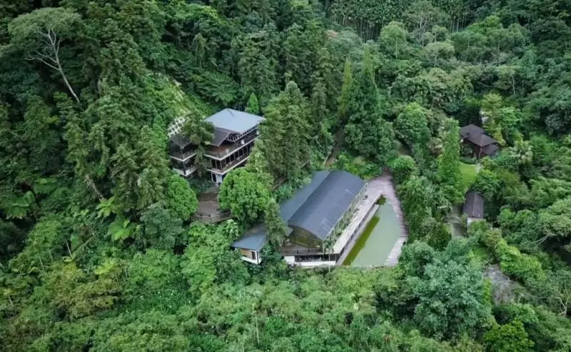 「他家住在深山!」清華教授以330萬在苗栗買下12000㎡山頭,為世界留下「珍貴寶藏」⋯
