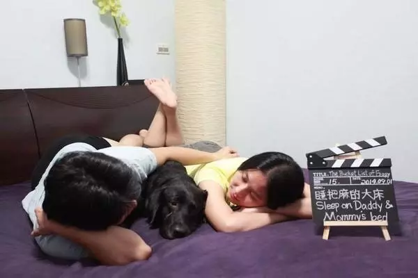 狗狗被宣判死刑,主人為它實現,最後27個特別願望!它哭花了臉