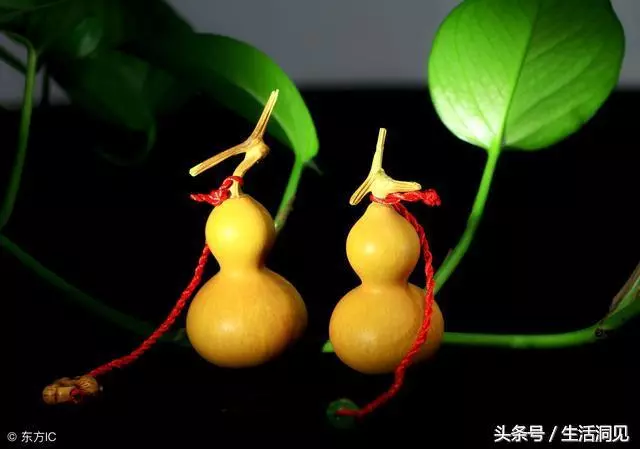 乾淨的人生,福報不請自來