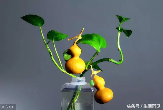 乾淨的人生,福報不請自來