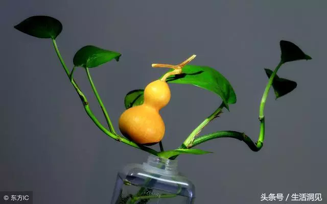 乾淨的人生,福報不請自來