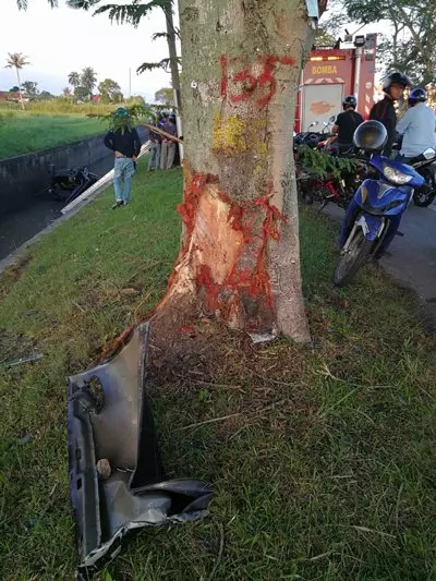 轎車撞樹飛溝 司機頭傷斃命