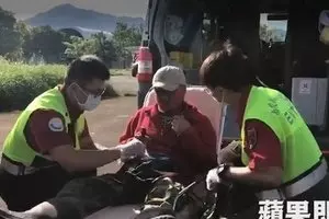 轎車撞樹飛溝 司機頭傷斃命