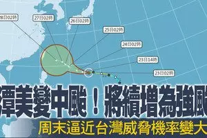 轎車撞樹飛溝 司機頭傷斃命