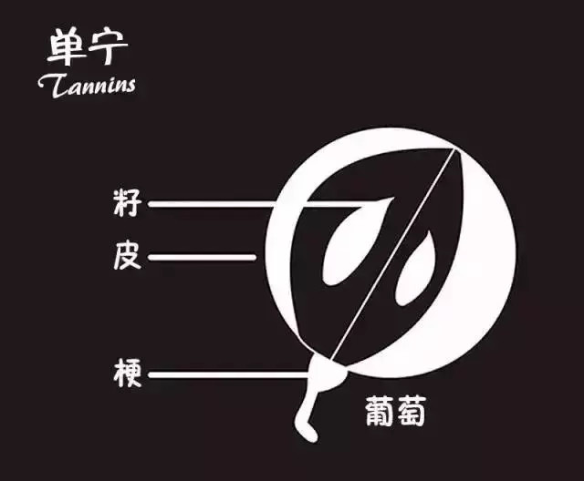 酒店餐飲人必備的葡萄酒知識大全