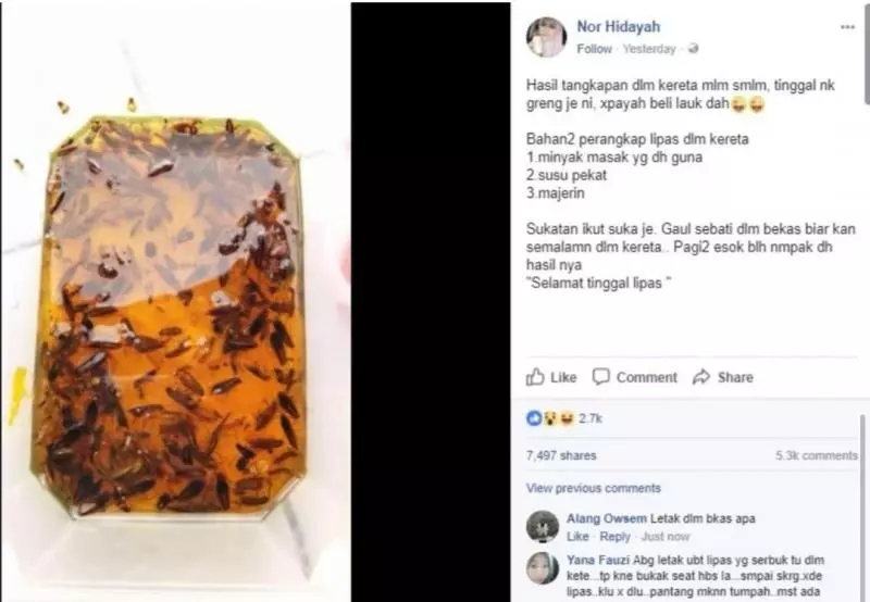 車裡出現蟑螂?網友教你一招「完美解決」!收藏起來以後一定有用到!
