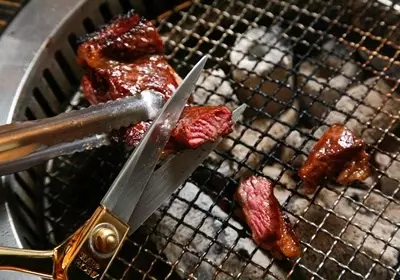 比噴槍燒更快!2分鐘快速生火法 教授示範「木炭這樣擺才快」網讚:看一次就會! -