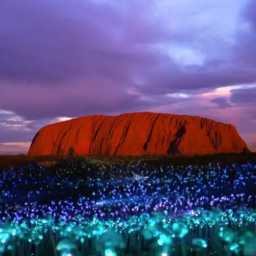 Australia秘境景點全攻略!去看發光的藍眼淚+幽靈蘑菇❤拒絕一般遊客の行程~