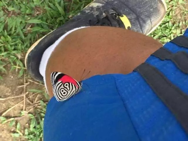 23個一生中才有可能拍攝到一張的照片~
