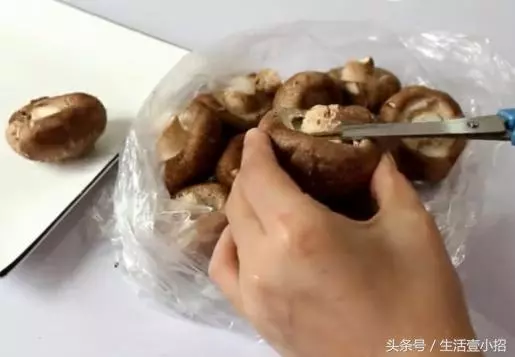 清水洗香菇和沒洗一樣髒,我教你一個小妙招,髒東西全部跑出來