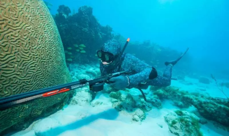 未解之謎:海底8千米已是生物極限,恐怖的1萬米處究竟有什麼?