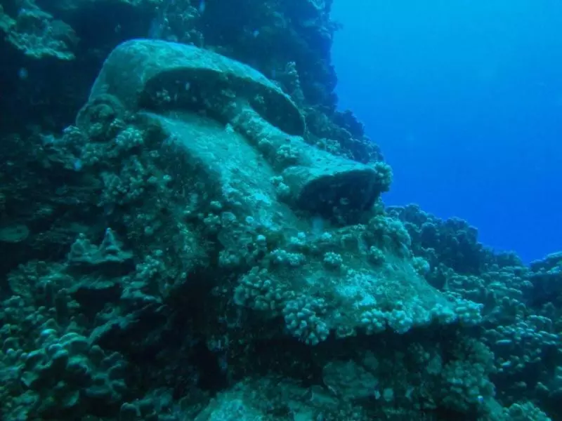未解之謎:海底8千米已是生物極限,恐怖的1萬米處究竟有什麼?