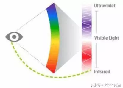 我們眼中的世界是真實的嗎?科學家:人類眼中的世界並非真實世界