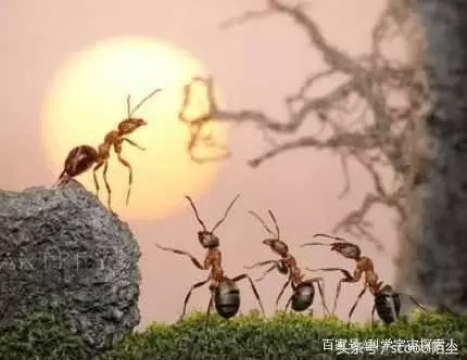 我們眼中的世界是真實的嗎?科學家:人類眼中的世界並非真實世界