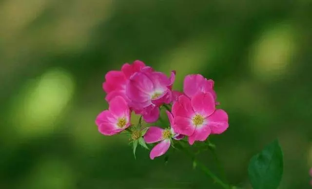做人,要學會「無情」