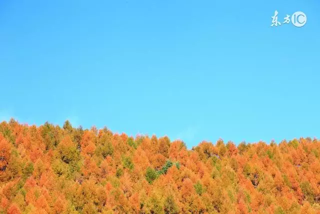 這五種人要深交!看似不起眼,卻是隱藏的「貴人」
