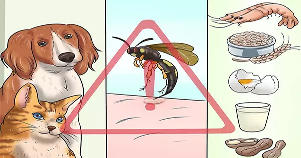 慢性疾病停看聽,你可得注意這3點習慣!