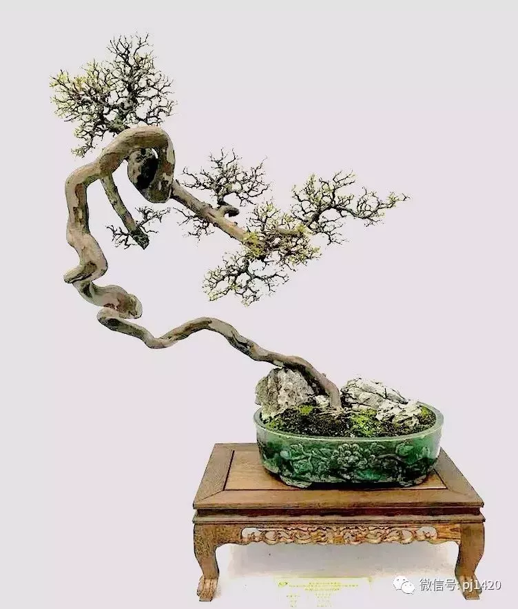 以曲為美,美在變化!