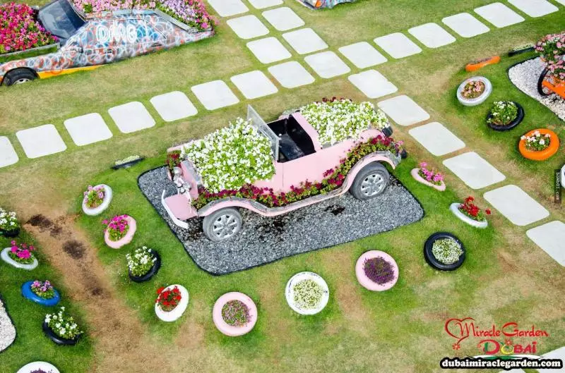 全球最大的自然花園 - 杜拜奇蹟花園(Dubai Miracle Garden)