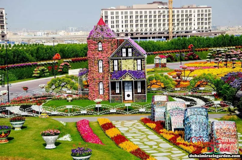 全球最大的自然花園 - 杜拜奇蹟花園(Dubai Miracle Garden)