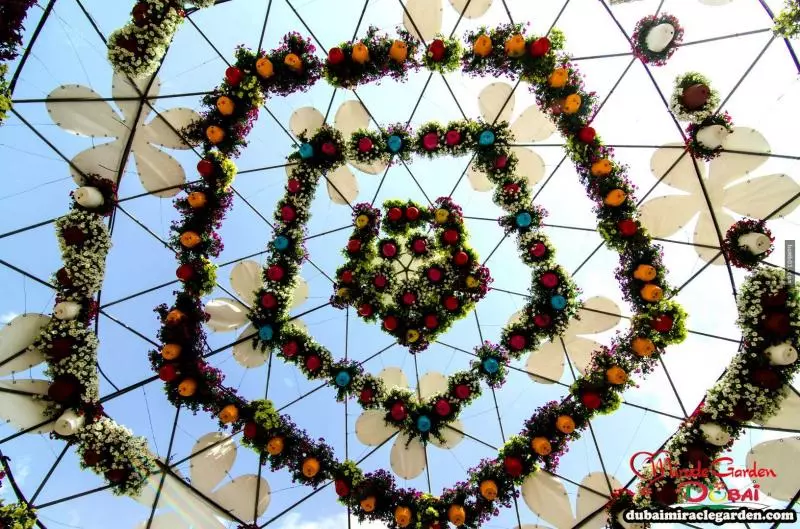 全球最大的自然花園 - 杜拜奇蹟花園(Dubai Miracle Garden)
