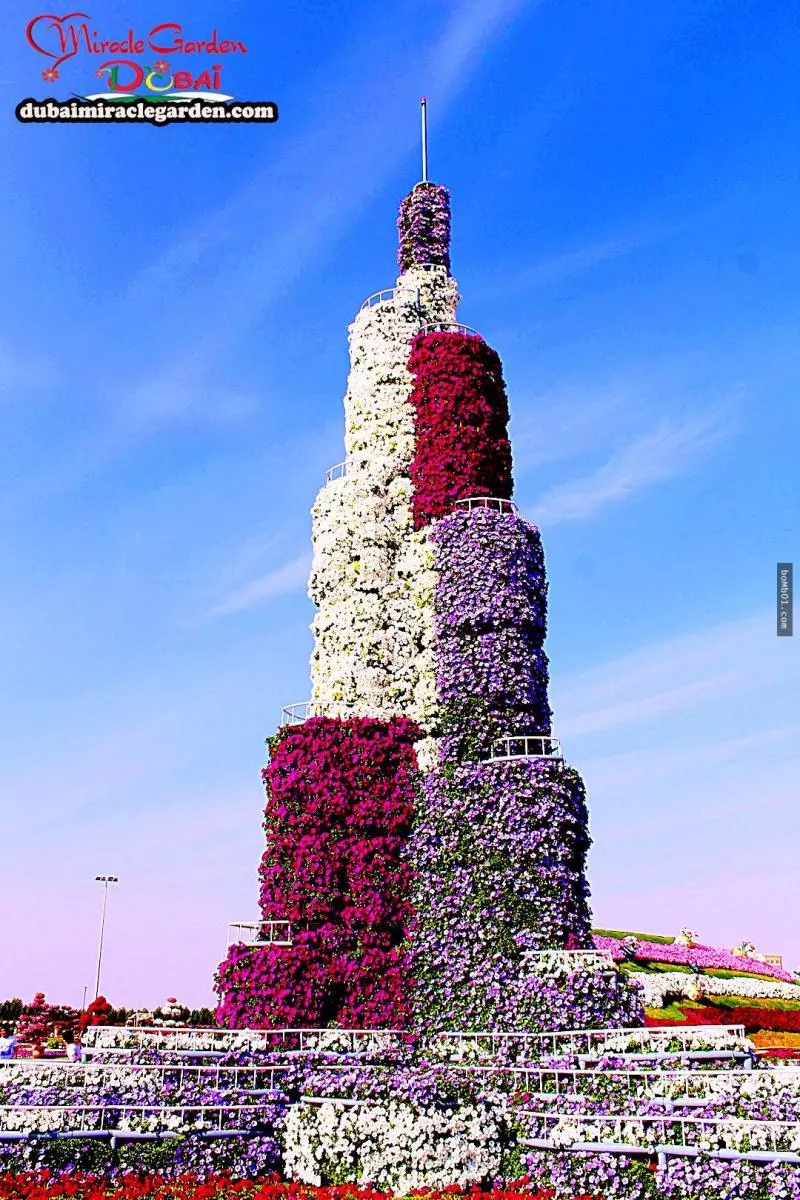 全球最大的自然花園 - 杜拜奇蹟花園(Dubai Miracle Garden)