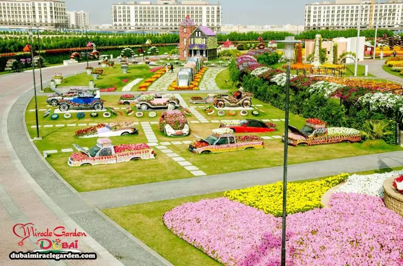 全球最大的自然花園 - 杜拜奇蹟花園(Dubai Miracle Garden)