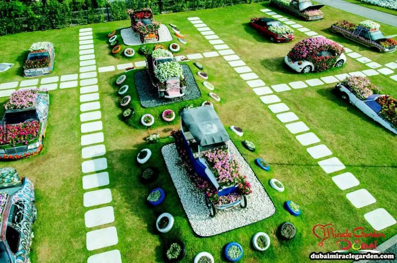 全球最大的自然花園 - 杜拜奇蹟花園(Dubai Miracle Garden)
