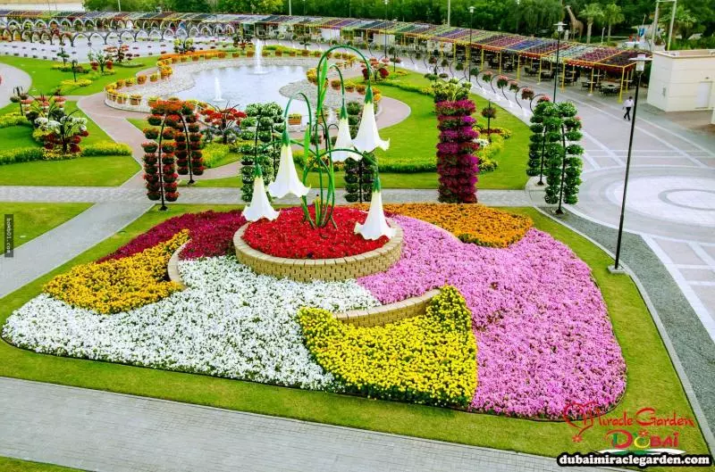 全球最大的自然花園 - 杜拜奇蹟花園(Dubai Miracle Garden)