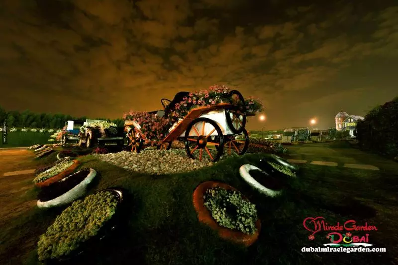 全球最大的自然花園 - 杜拜奇蹟花園(Dubai Miracle Garden)