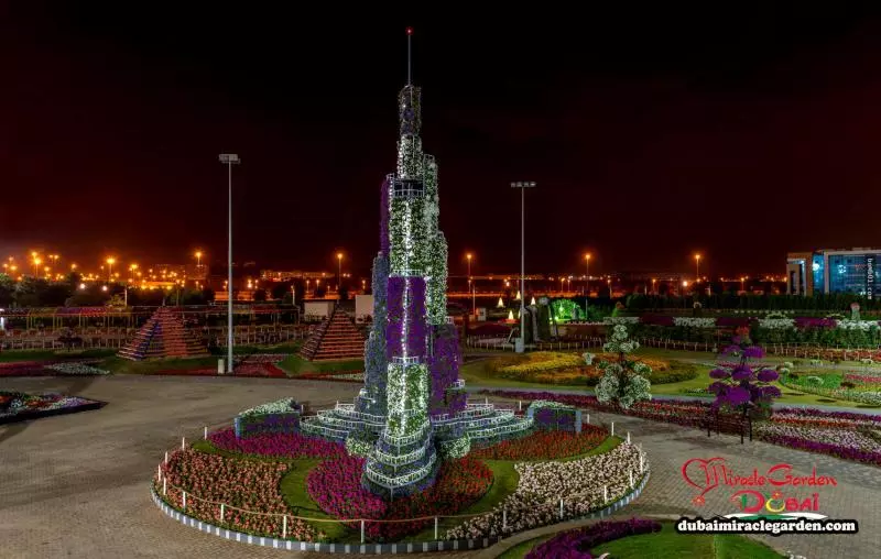 全球最大的自然花園 - 杜拜奇蹟花園(Dubai Miracle Garden)