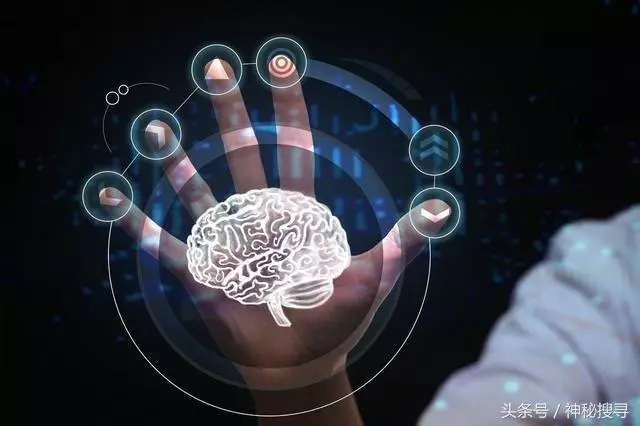 量子終極?人體或是一個小宇宙