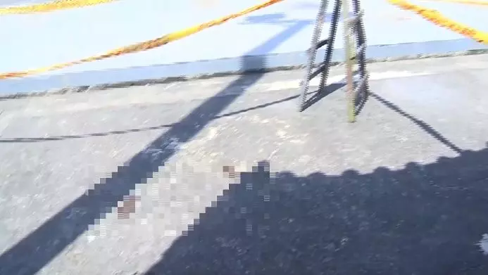吵「蚵仔鮮不鮮」!父作勢打 子腳滑誤扣扳機殺