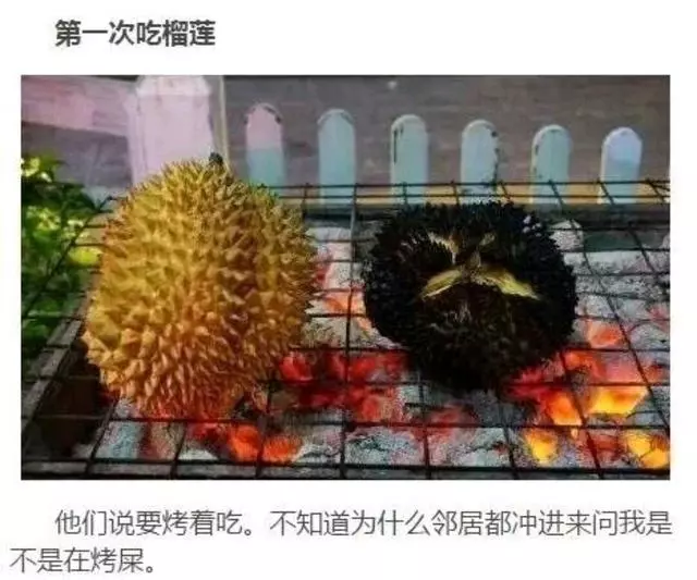 笑死人不償命的爆笑圖片，吃火龍果吐籽吐了一小時