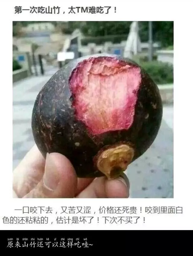 笑死人不償命的爆笑圖片，吃火龍果吐籽吐了一小時
