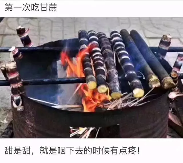 笑死人不償命的爆笑圖片，吃火龍果吐籽吐了一小時