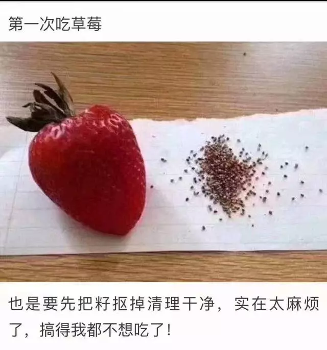 笑死人不償命的爆笑圖片，吃火龍果吐籽吐了一小時