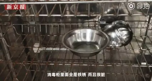 黑心幼稚園食物全過期 驚見冷凍荷包蛋