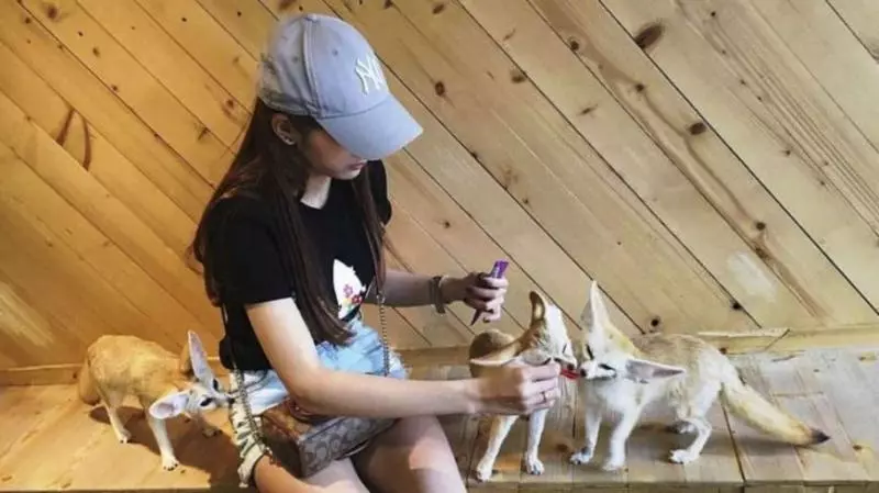 【到曼谷在這裡打卡拍照吃美食】 曼谷9家超有feel的餐廳和咖啡館!
