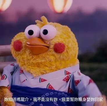 鸚鵡圖實在太有梗！網發現「鸚鵡os產生器」，靠北劇情神展開！