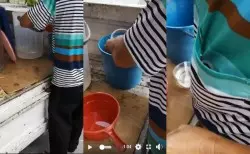 【強震襲印尼】蘇拉威西島連環震 海嘯侵襲多人失蹤 | 東方網 | 馬來西亞東方日報