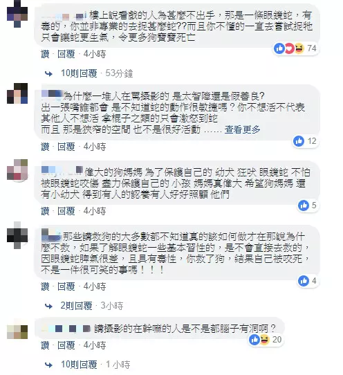 狗媽媽為保護孩子「狂吠對抗眼鏡蛇」不顧危險 展現母愛「最後被逼到牆角」結局網落淚