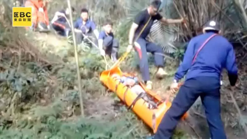 虎頭蜂遭北一女電風扇捲死 親友前來「復仇」?一人急送醫