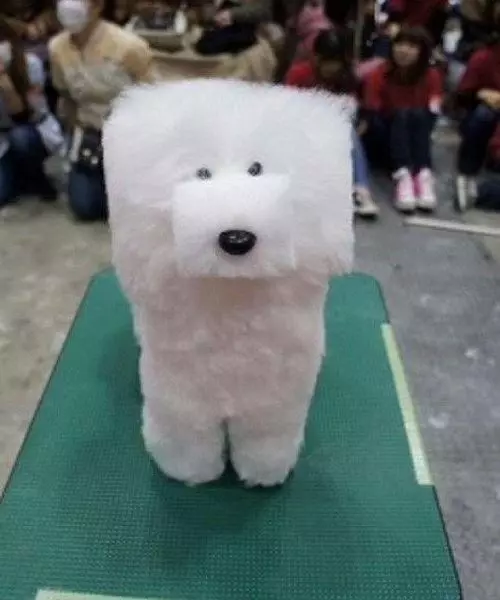 17隻被主人玩壞的毛小孩。。。樣子看起來就像是生無可戀!