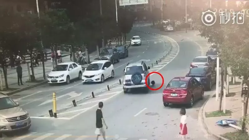 就是不停!白衣女悠哉過馬路 他竟慢慢把她輾斃