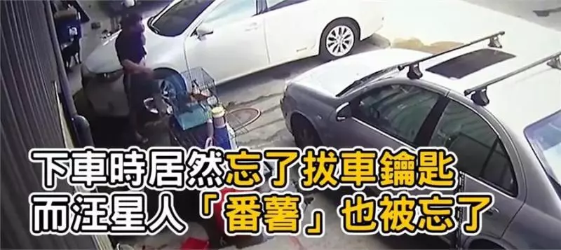 主人粗心將狗狗遺忘車中三小時,主人秒破窗救狗,對不起原諒我,我真的很愛他!