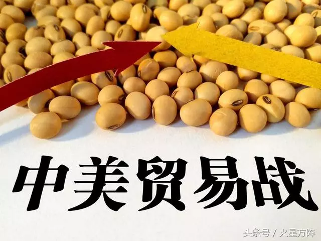 中國國內豆粕價格大幅上漲近20%, 鄉民反映怎樣?