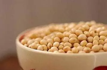 中國國內豆粕價格大幅上漲近20%, 鄉民反映怎樣?