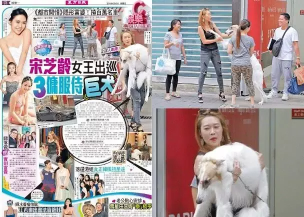 Famaosinmalaysia - 盤點3位TVB小隱形富婆,10億富家女,愛犬身價就10萬!